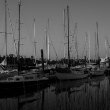 Boats in Docks