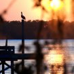 Dock @ Sunset