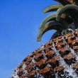 Pineapple Fountain Detail