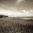 Cooper River Bridge 