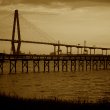 Sepia Cooper River Bridge