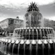 Pineapple Fountain