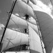 Main Mast: USCG Eagle