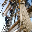 Cadets and Ofﬁcers working in Rigging